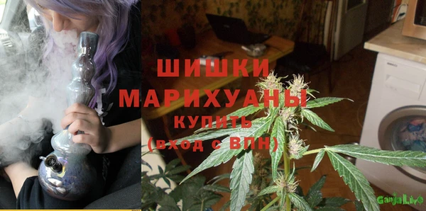 прущая мука Нея