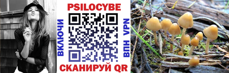 Купить  Сатка  Галлюциногенные грибы MAGIC MUSHROOMS 